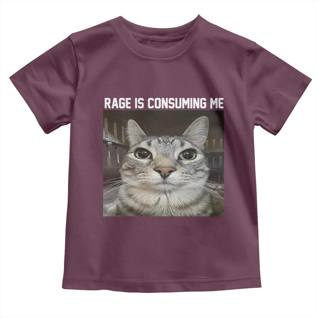 Funny Silly Cat Meme Toddler T Shirt Rage Is Consuming Me Staring