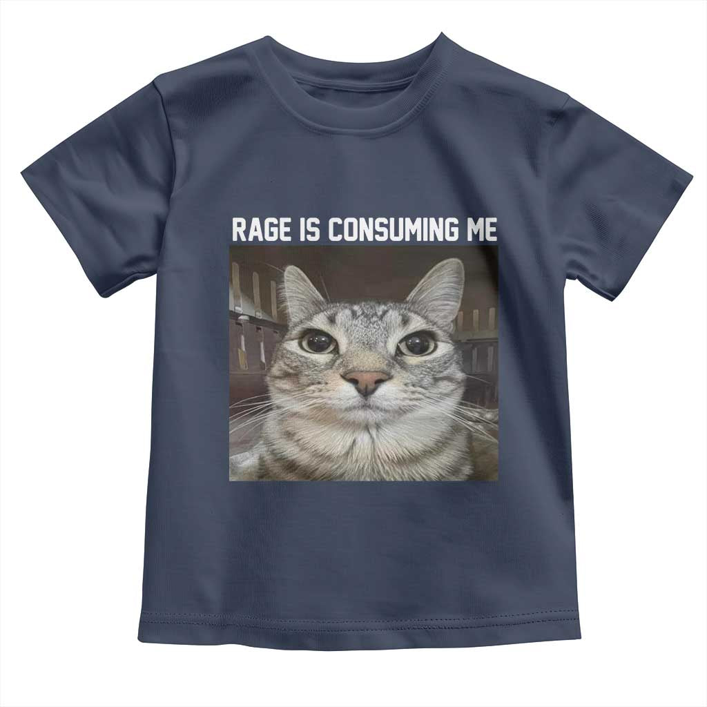 Funny Silly Cat Meme Toddler T Shirt Rage Is Consuming Me Staring