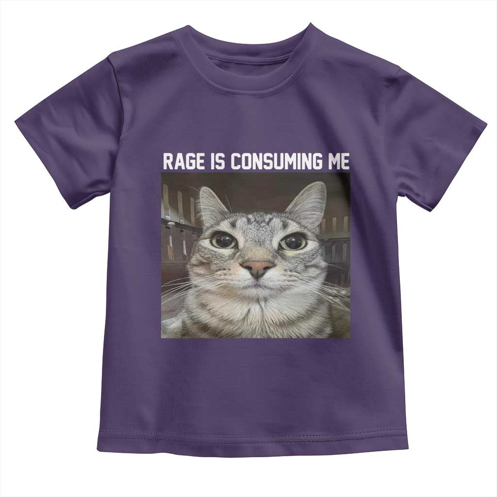 Funny Silly Cat Meme Toddler T Shirt Rage Is Consuming Me Staring