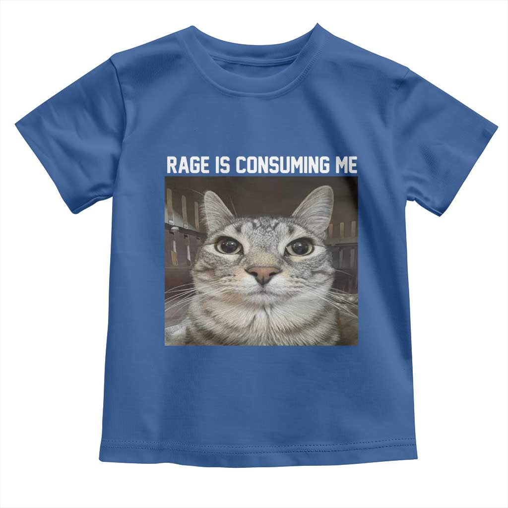 Funny Silly Cat Meme Toddler T Shirt Rage Is Consuming Me Staring