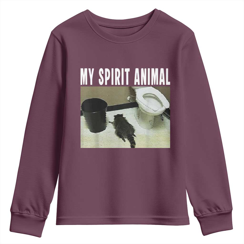 Funny Trashed Panda My Spirit Animal Youth Sweatshirt Drunk Raccoon in Toilet Meme Hot Mess - Wonder Print Shop