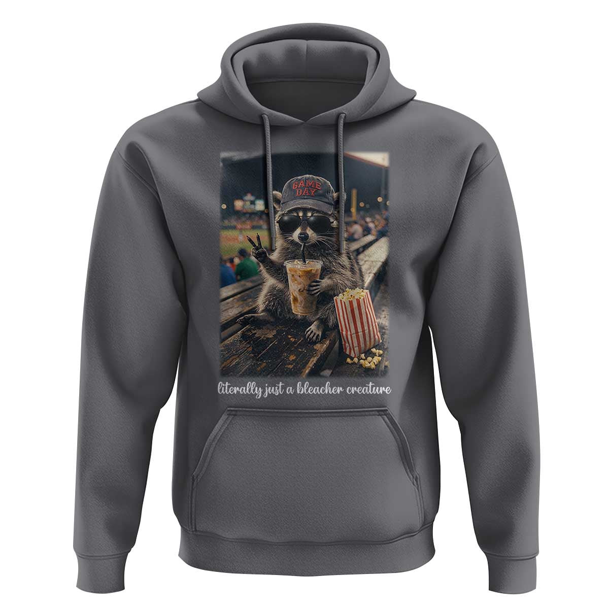 Literally Just A Bleacher Creature Funny Raccoon Baseball Graphic Hoodie Cool Game Day Fan Gift