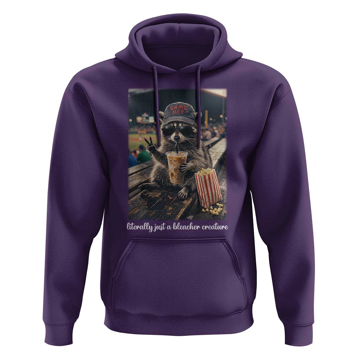 Literally Just A Bleacher Creature Funny Raccoon Baseball Graphic Hoodie Cool Game Day Fan Gift