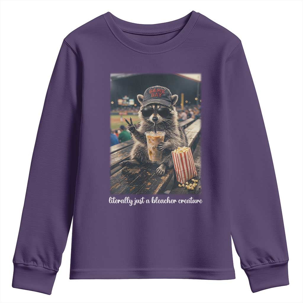 Literally Just A Bleacher Creature Funny Raccoon Baseball Graphic Youth Sweatshirt Cool Game Day Fan Gift