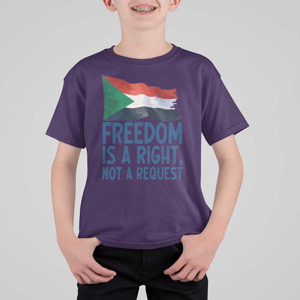 Freedom Is a Right Not a Request T Shirt For Kid Sudan Flag Human Rights Supporters - Wonder Print Shop
