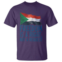 Freedom Is a Right Not a Request T Shirt Sudan Flag Human Rights Supporters - Wonder Print Shop