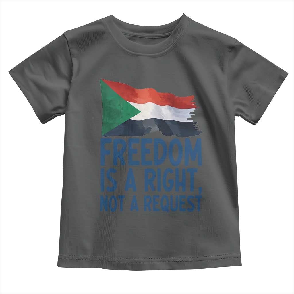 Freedom Is a Right Not a Request Toddler T Shirt Sudan Flag Human Rights Supporters - Wonder Print Shop