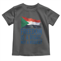 Freedom Is a Right Not a Request Toddler T Shirt Sudan Flag Human Rights Supporters - Wonder Print Shop