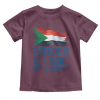 Freedom Is a Right Not a Request Toddler T Shirt Sudan Flag Human Rights Supporters - Wonder Print Shop