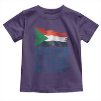 Freedom Is a Right Not a Request Toddler T Shirt Sudan Flag Human Rights Supporters - Wonder Print Shop