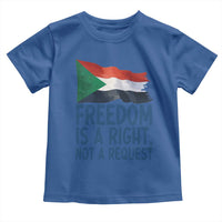 Freedom Is a Right Not a Request Toddler T Shirt Sudan Flag Human Rights Supporters - Wonder Print Shop