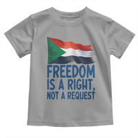 Freedom Is a Right Not a Request Toddler T Shirt Sudan Flag Human Rights Supporters - Wonder Print Shop