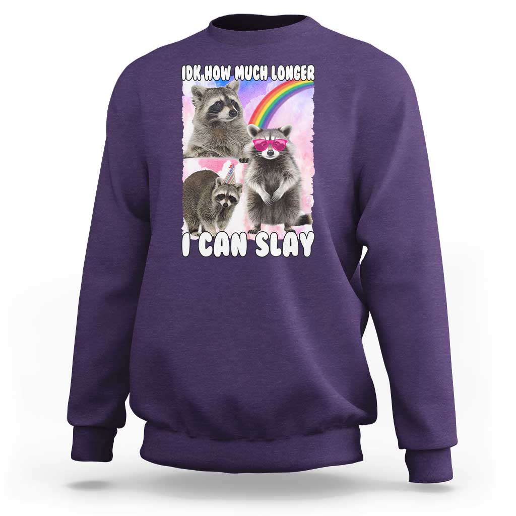 Funny Raccoon Meme Sweatshirt Idk How Much Longer I Can Slay - Wonder Print Shop