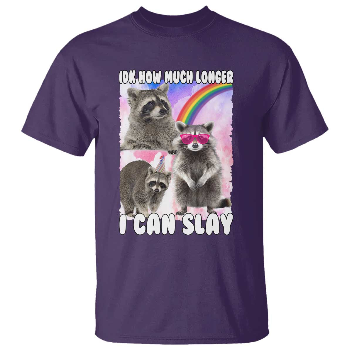 Funny Raccoon Meme T Shirt Idk How Much Longer I Can Slay - Wonder Print Shop