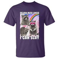 Funny Raccoon Meme T Shirt Idk How Much Longer I Can Slay - Wonder Print Shop