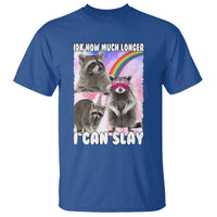 Funny Raccoon Meme T Shirt Idk How Much Longer I Can Slay - Wonder Print Shop
