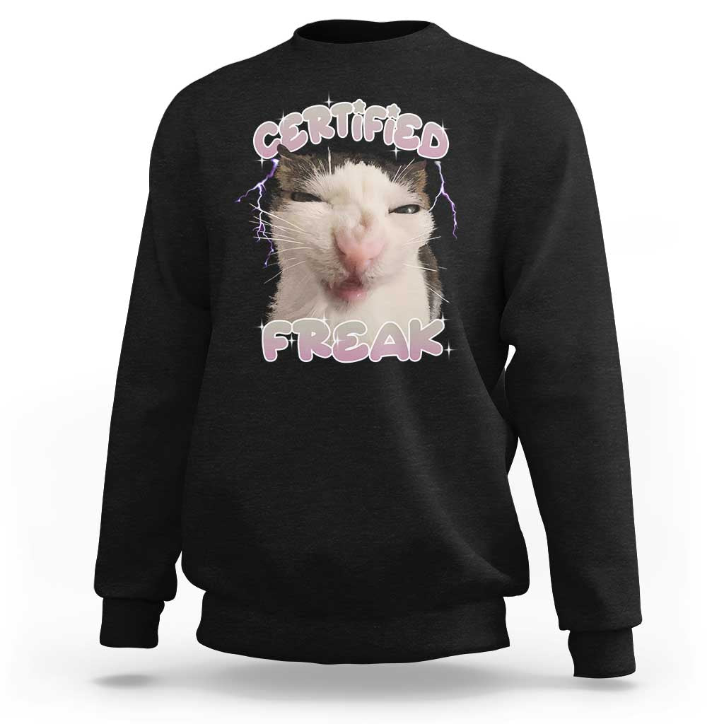 Funny Cat Meme Sweatshirt Certified Freak Eat Cement Cursed Cat - Wonder Print Shop