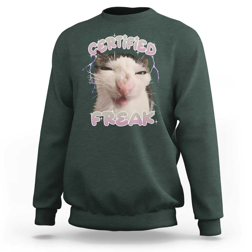 Funny Cat Meme Sweatshirt Certified Freak Eat Cement Cursed Cat - Wonder Print Shop