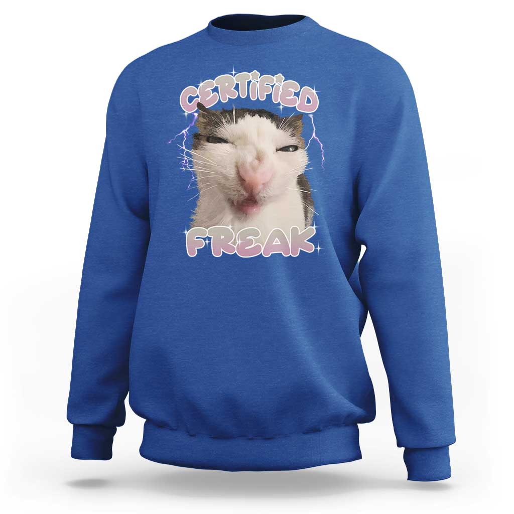 Funny Cat Meme Sweatshirt Certified Freak Eat Cement Cursed Cat - Wonder Print Shop