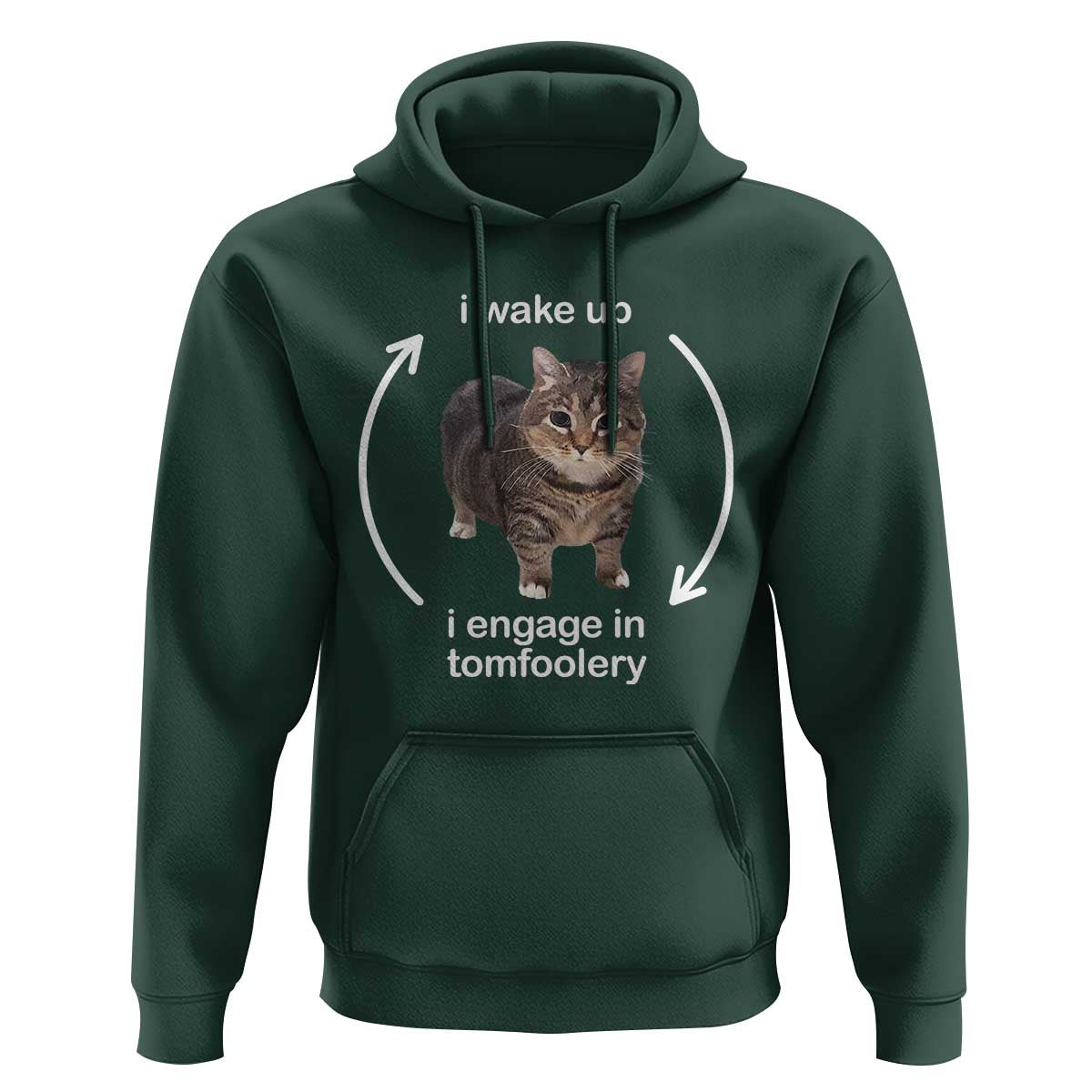 Funny Silly Cat Meme Hoodie I Wake Up I Engage In Tomfoolery