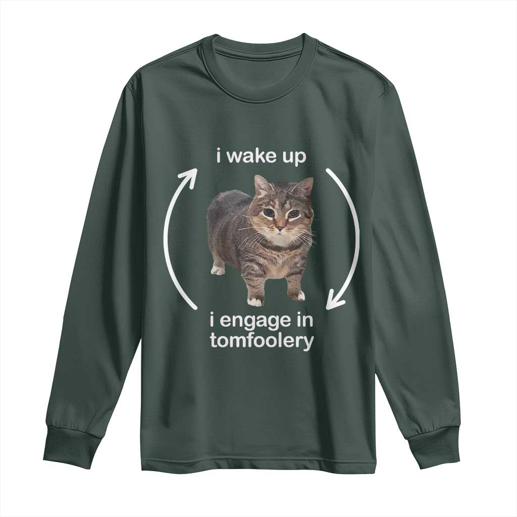 Funny Silly Cat Meme Long Sleeve Shirt I Wake Up I Engage In Tomfoolery