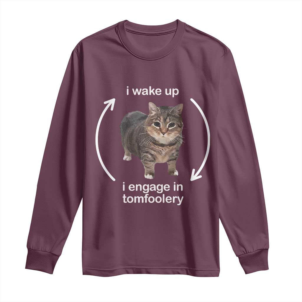 Funny Silly Cat Meme Long Sleeve Shirt I Wake Up I Engage In Tomfoolery