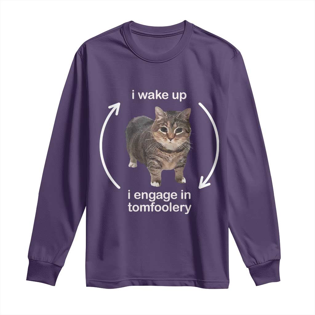 Funny Silly Cat Meme Long Sleeve Shirt I Wake Up I Engage In Tomfoolery