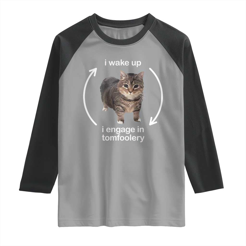 Funny Silly Cat Meme Raglan Shirt I Wake Up I Engage In Tomfoolery