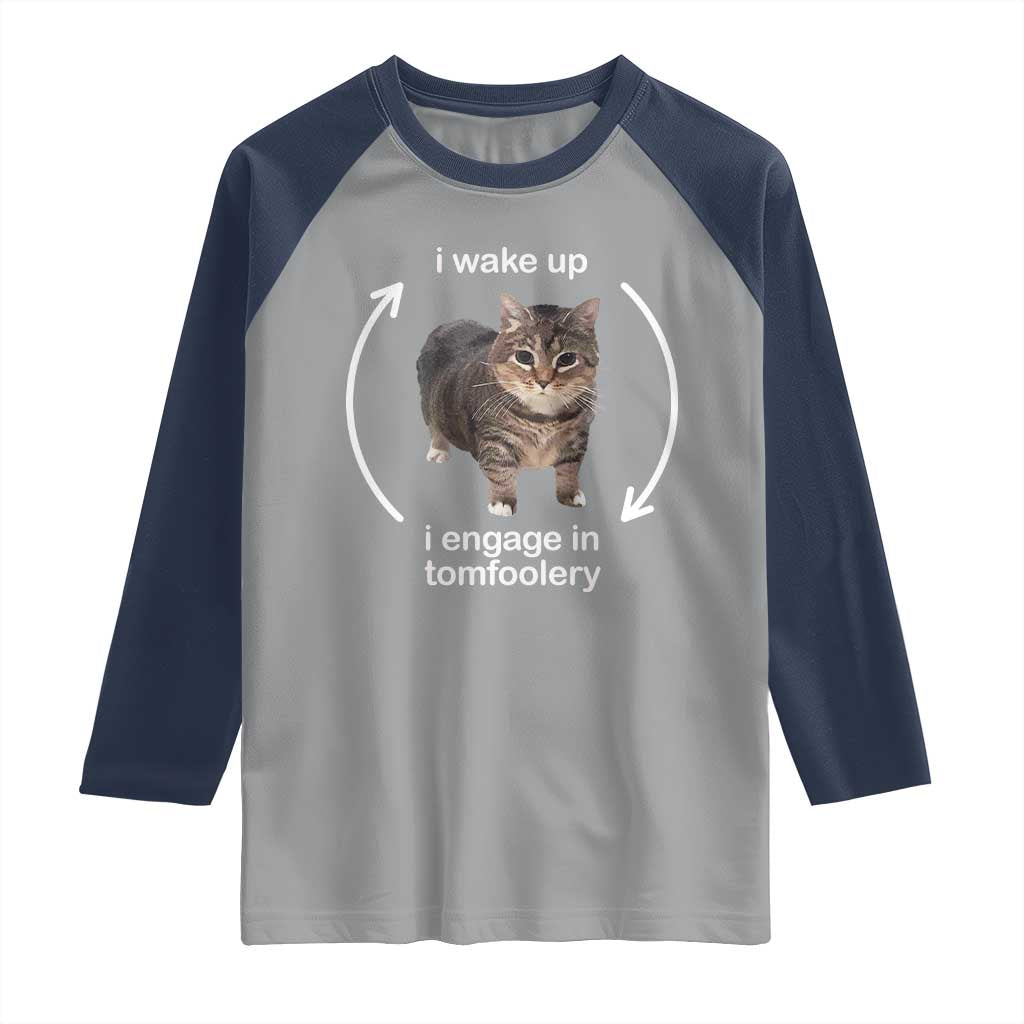 Funny Silly Cat Meme Raglan Shirt I Wake Up I Engage In Tomfoolery