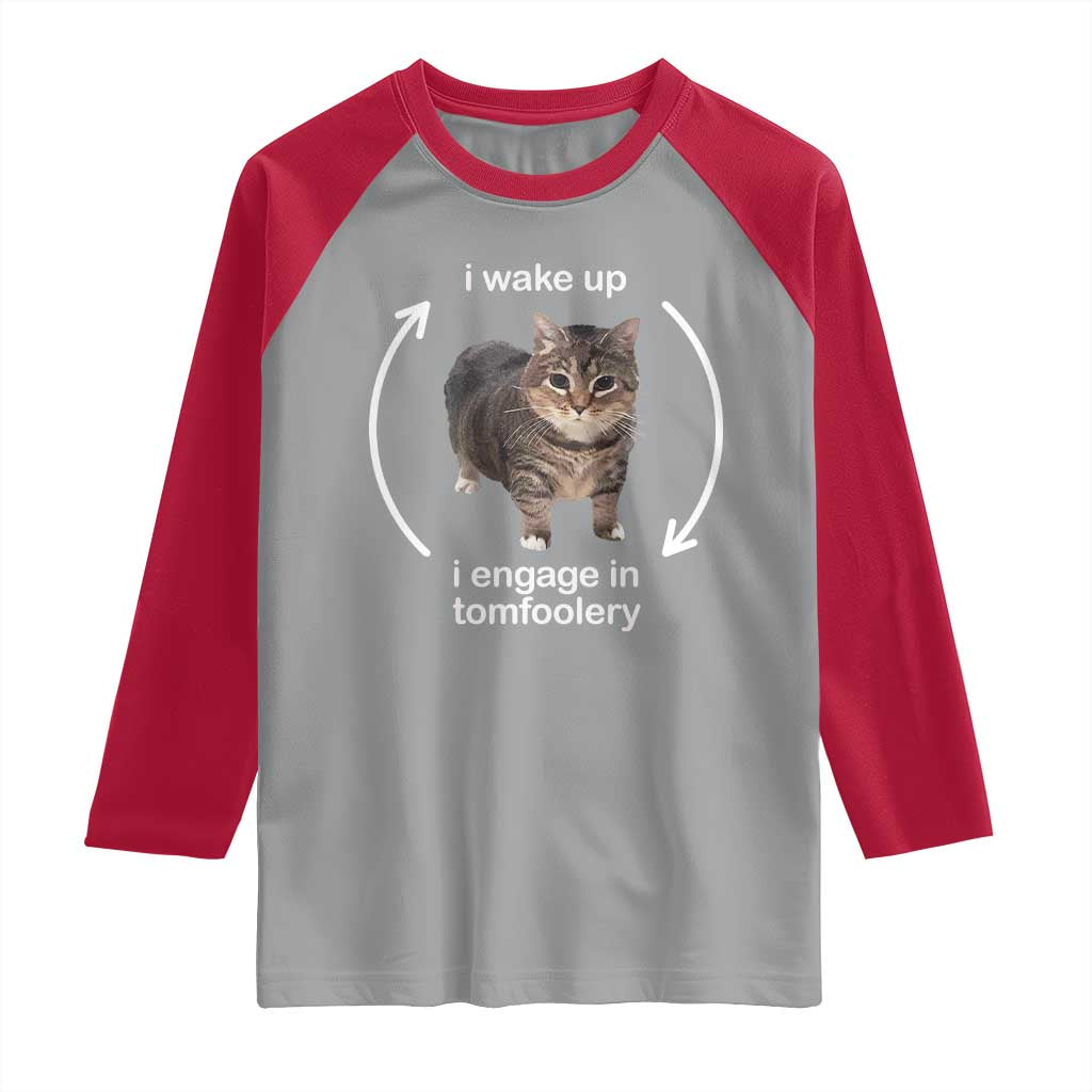 Funny Silly Cat Meme Raglan Shirt I Wake Up I Engage In Tomfoolery