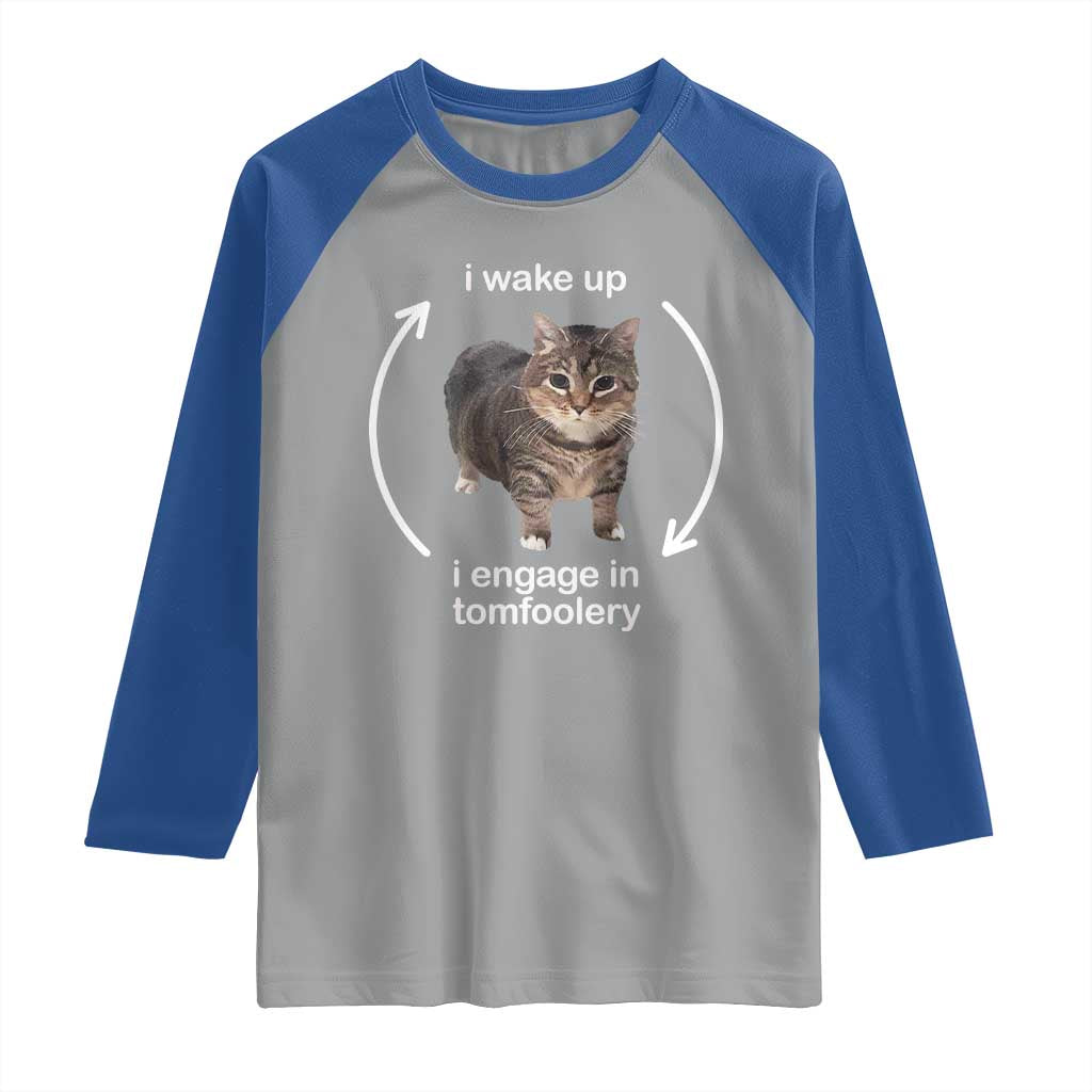 Funny Silly Cat Meme Raglan Shirt I Wake Up I Engage In Tomfoolery