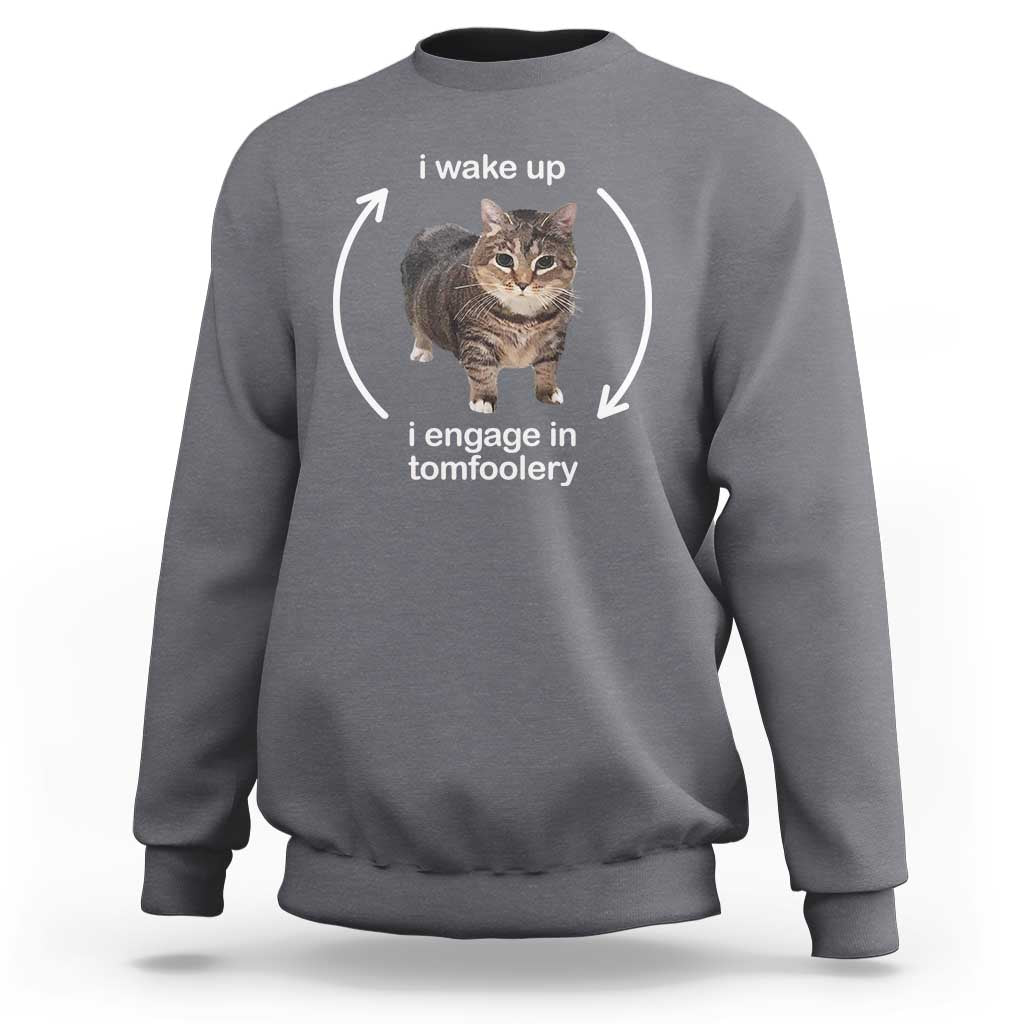 Funny Silly Cat Meme Sweatshirt I Wake Up I Engage In Tomfoolery - Wonder Print Shop