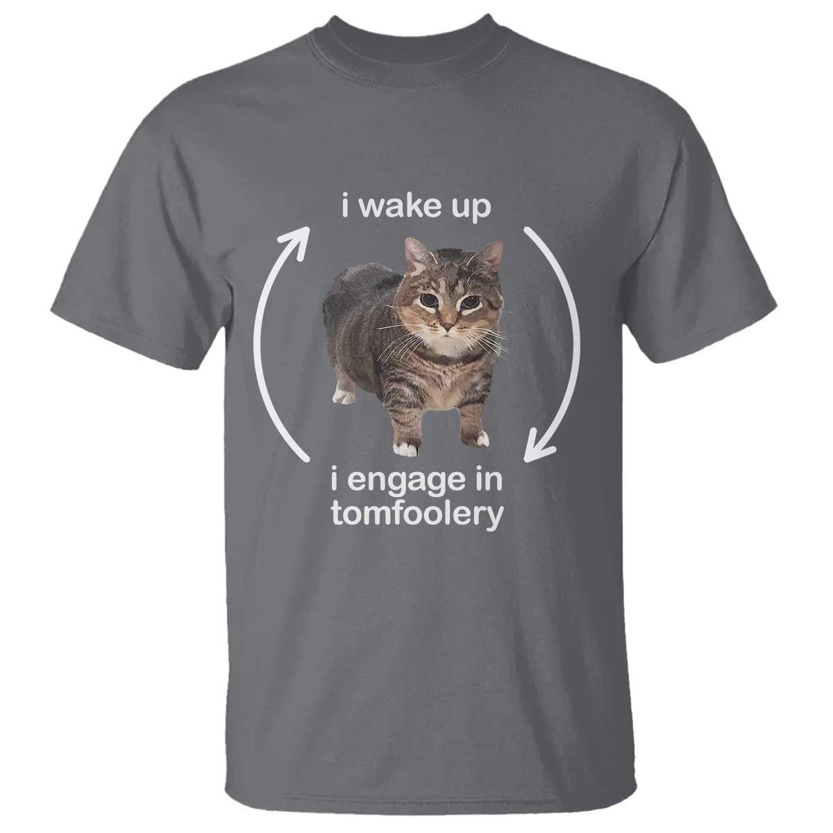 Funny Silly Cat Meme T Shirt I Wake Up I Engage In Tomfoolery - Wonder Print Shop