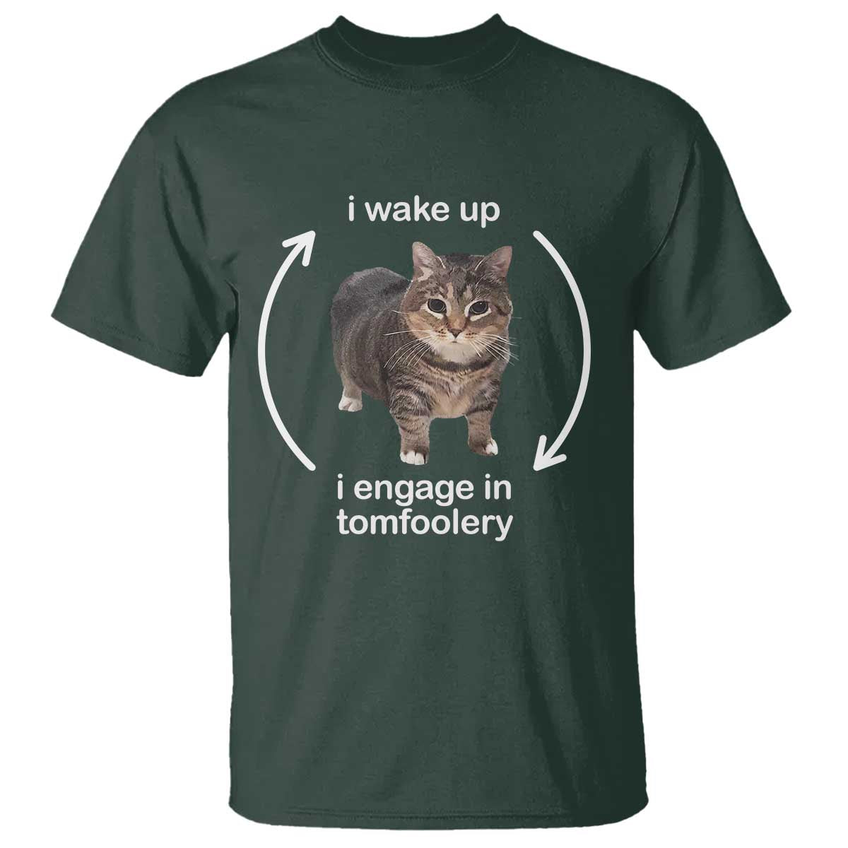 Funny Silly Cat Meme T Shirt I Wake Up I Engage In Tomfoolery - Wonder Print Shop