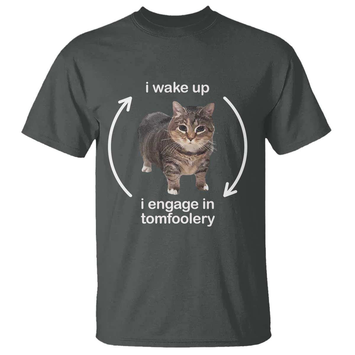 Funny Silly Cat Meme T Shirt I Wake Up I Engage In Tomfoolery - Wonder Print Shop