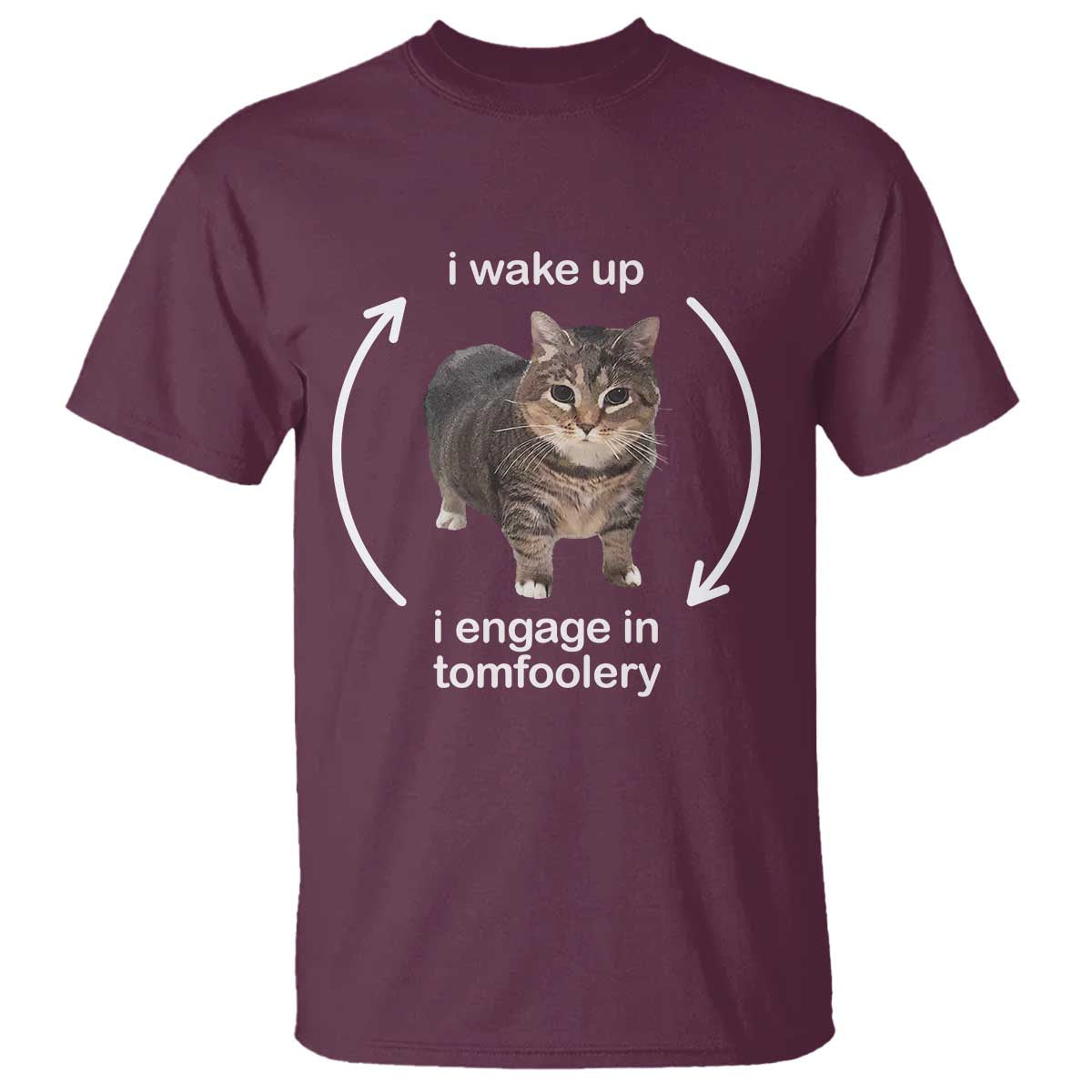 Funny Silly Cat Meme T Shirt I Wake Up I Engage In Tomfoolery - Wonder Print Shop