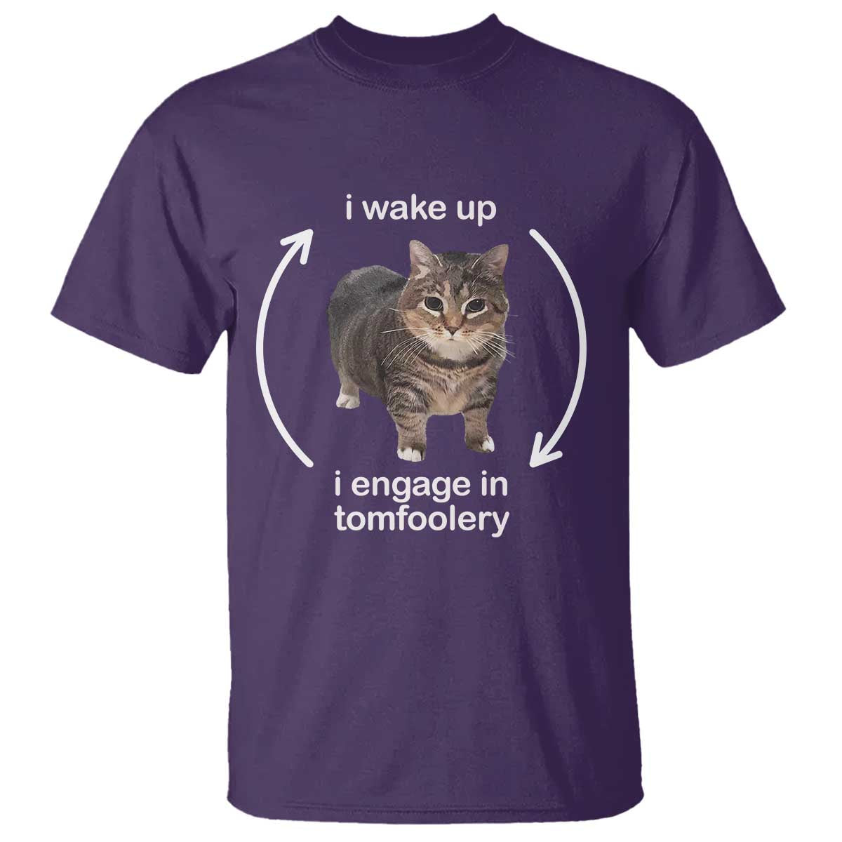 Funny Silly Cat Meme T Shirt I Wake Up I Engage In Tomfoolery - Wonder Print Shop