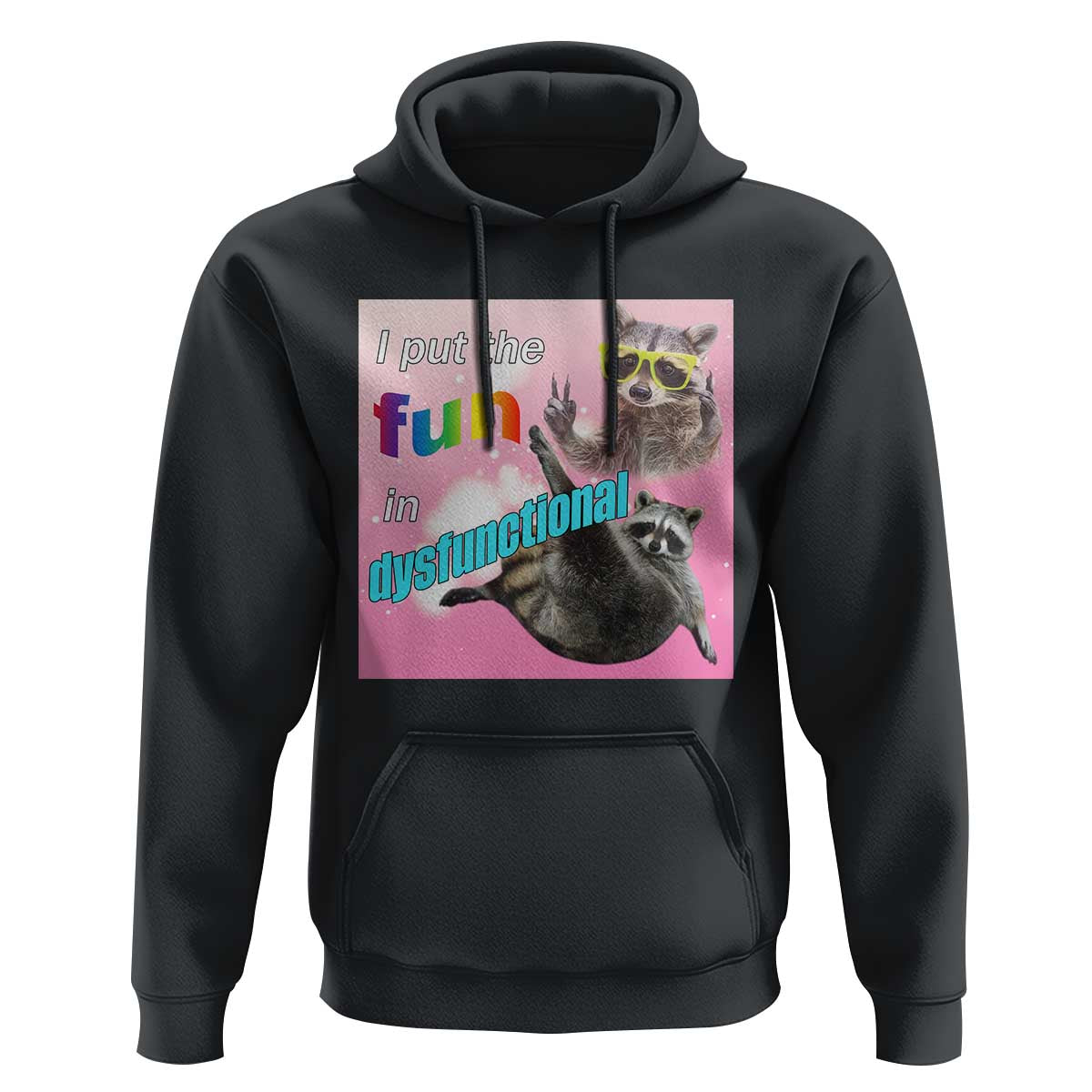 Funny Raccoon Meme Hoodie I Put The Fun In Dysfunctional