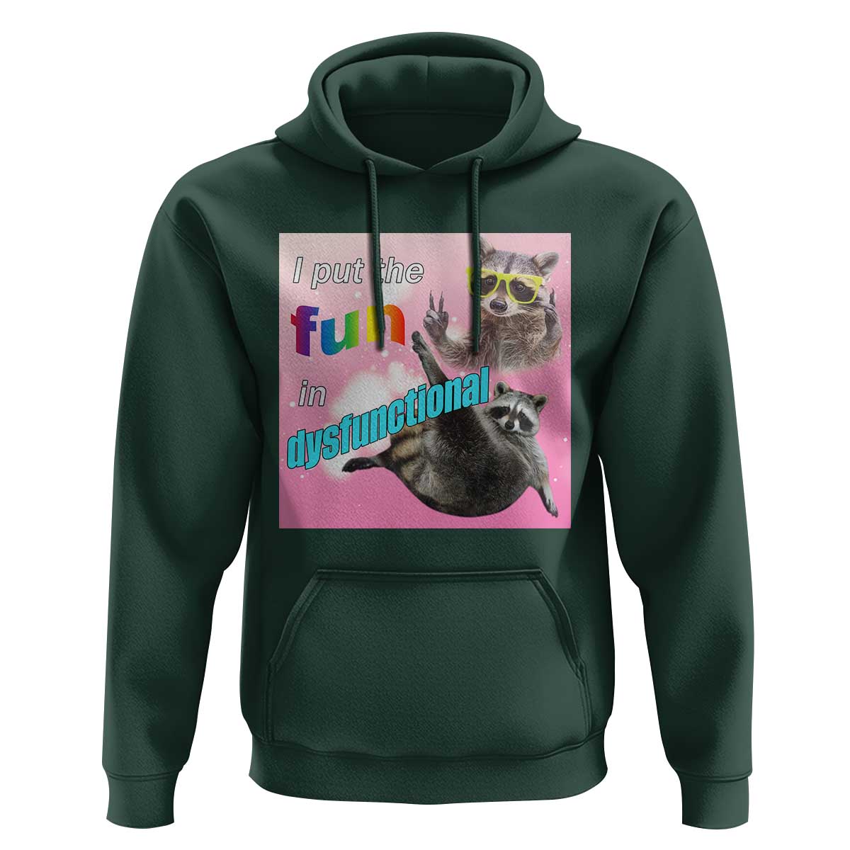 Funny Raccoon Meme Hoodie I Put The Fun In Dysfunctional