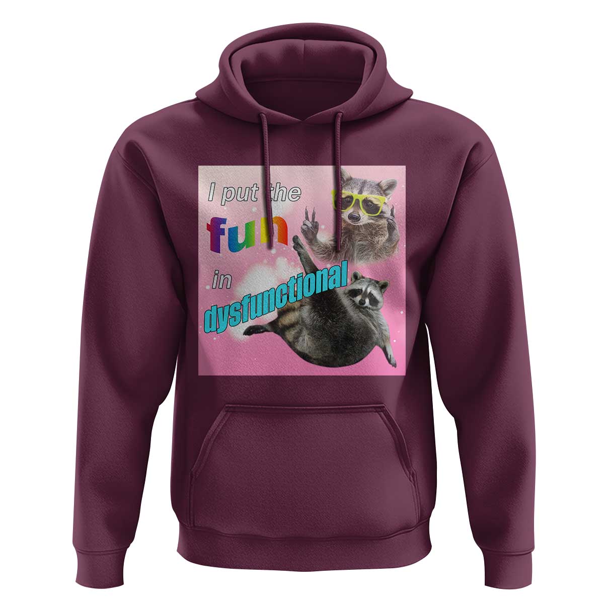 Funny Raccoon Meme Hoodie I Put The Fun In Dysfunctional