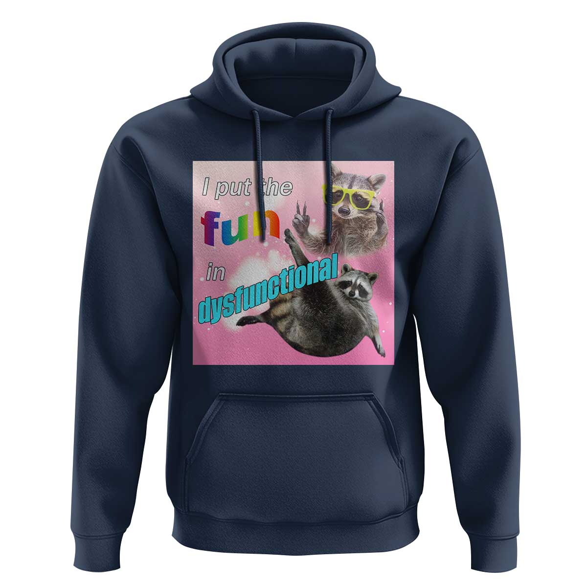 Funny Raccoon Meme Hoodie I Put The Fun In Dysfunctional