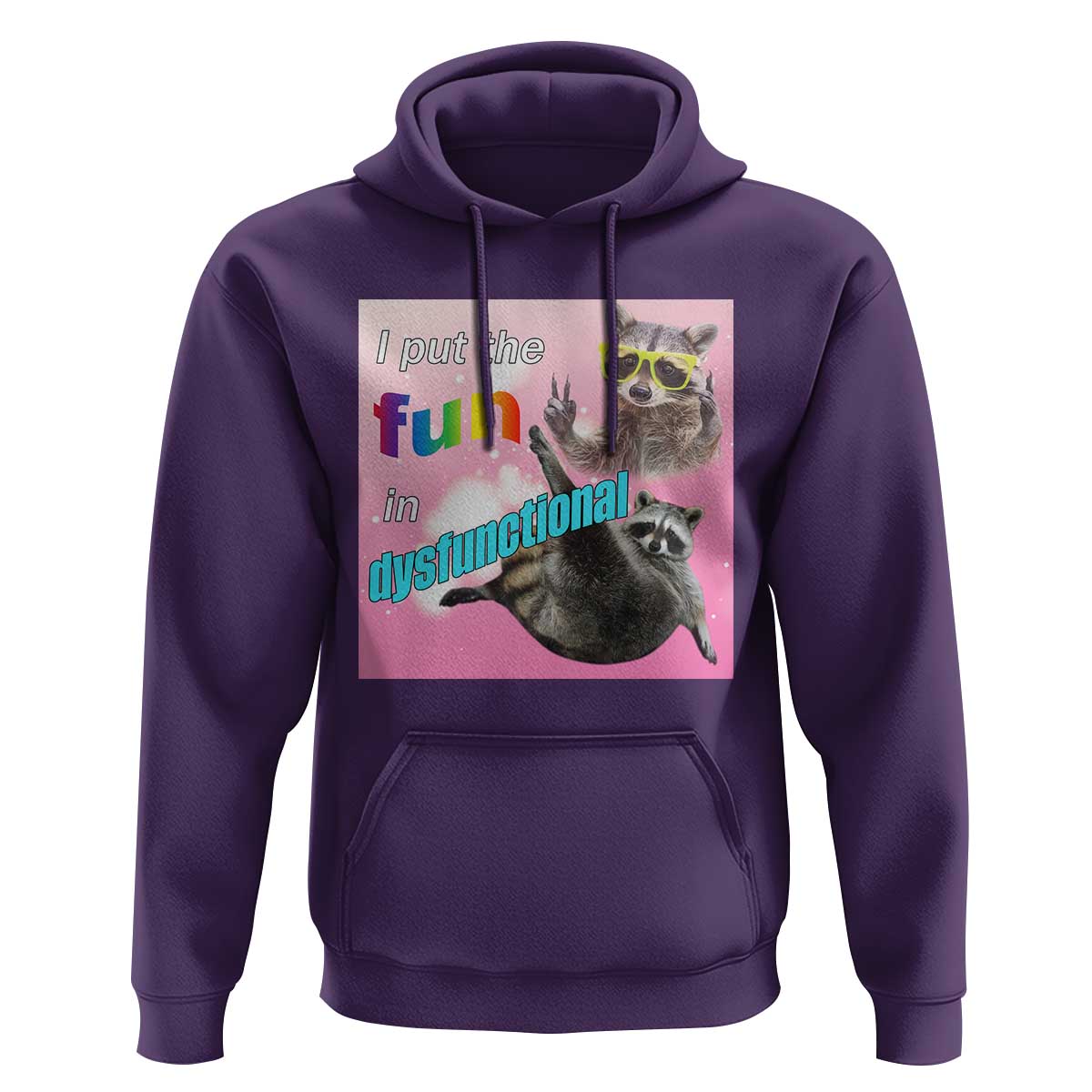 Funny Raccoon Meme Hoodie I Put The Fun In Dysfunctional