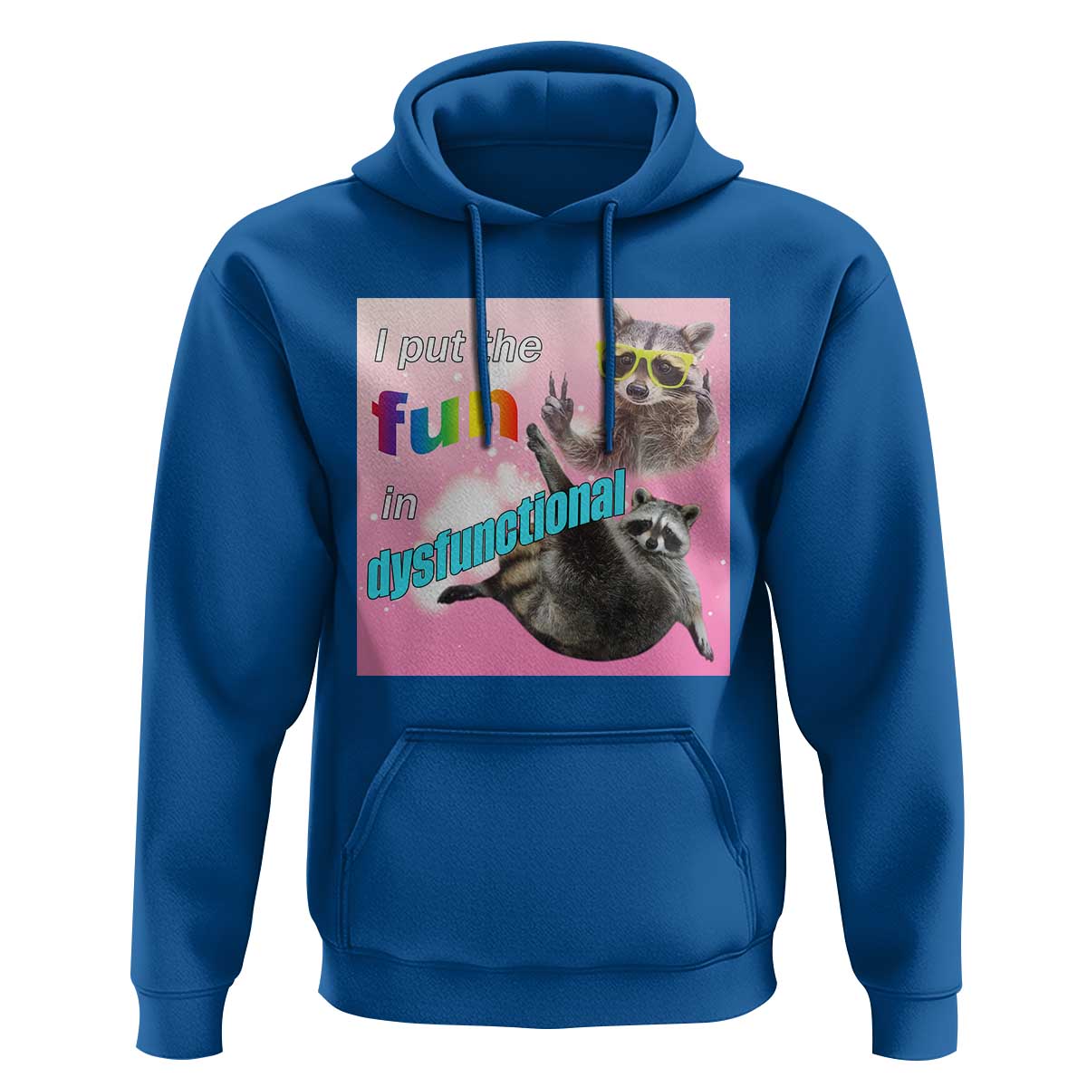 Funny Raccoon Meme Hoodie I Put The Fun In Dysfunctional