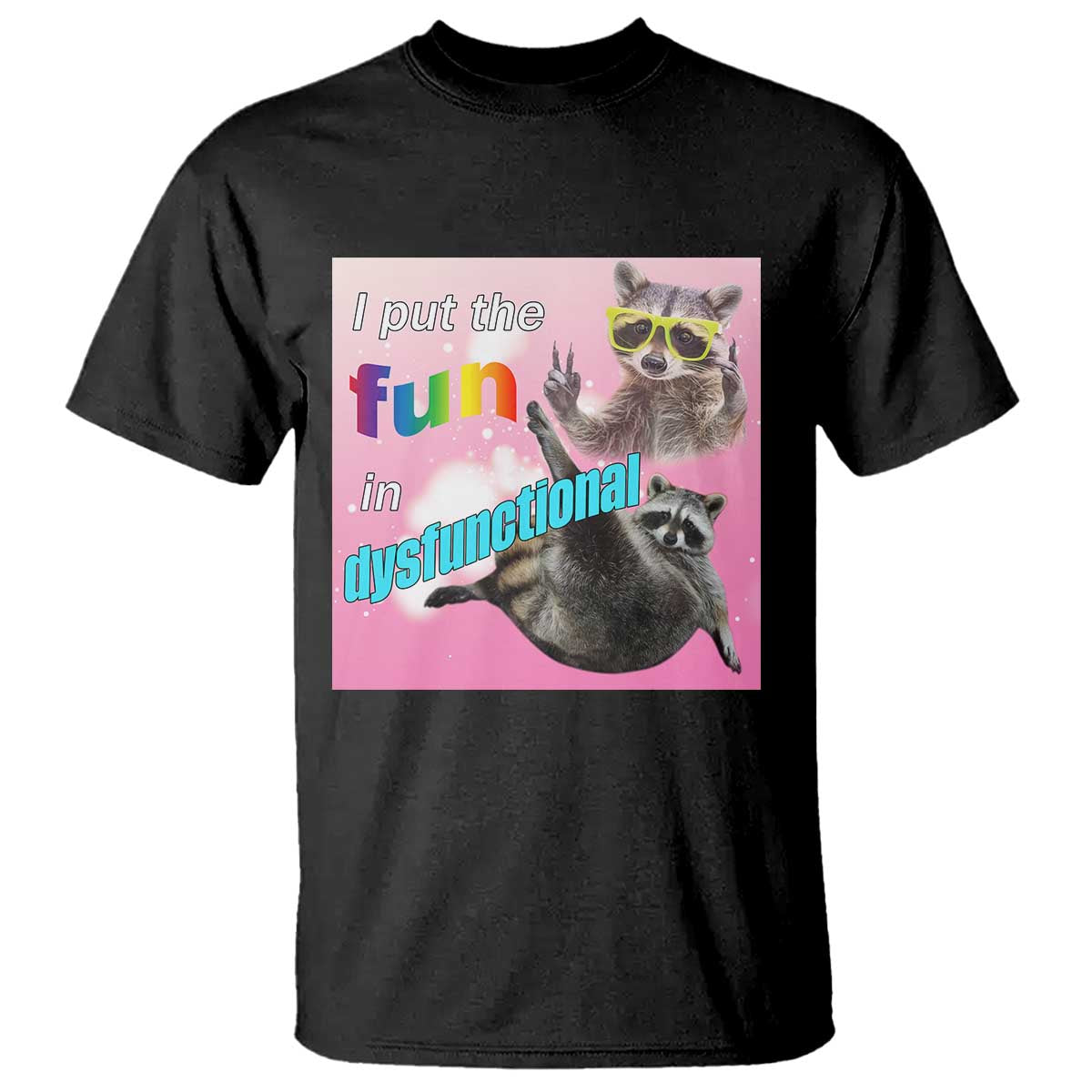 Funny Raccoon Meme T Shirt I Put The Fun In Dysfunctional