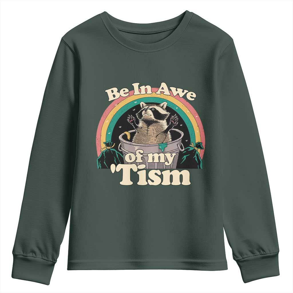 Autism Funny Raccoon Youth Sweatshirt Be In Awe Of My 'Tism Meme Autistic