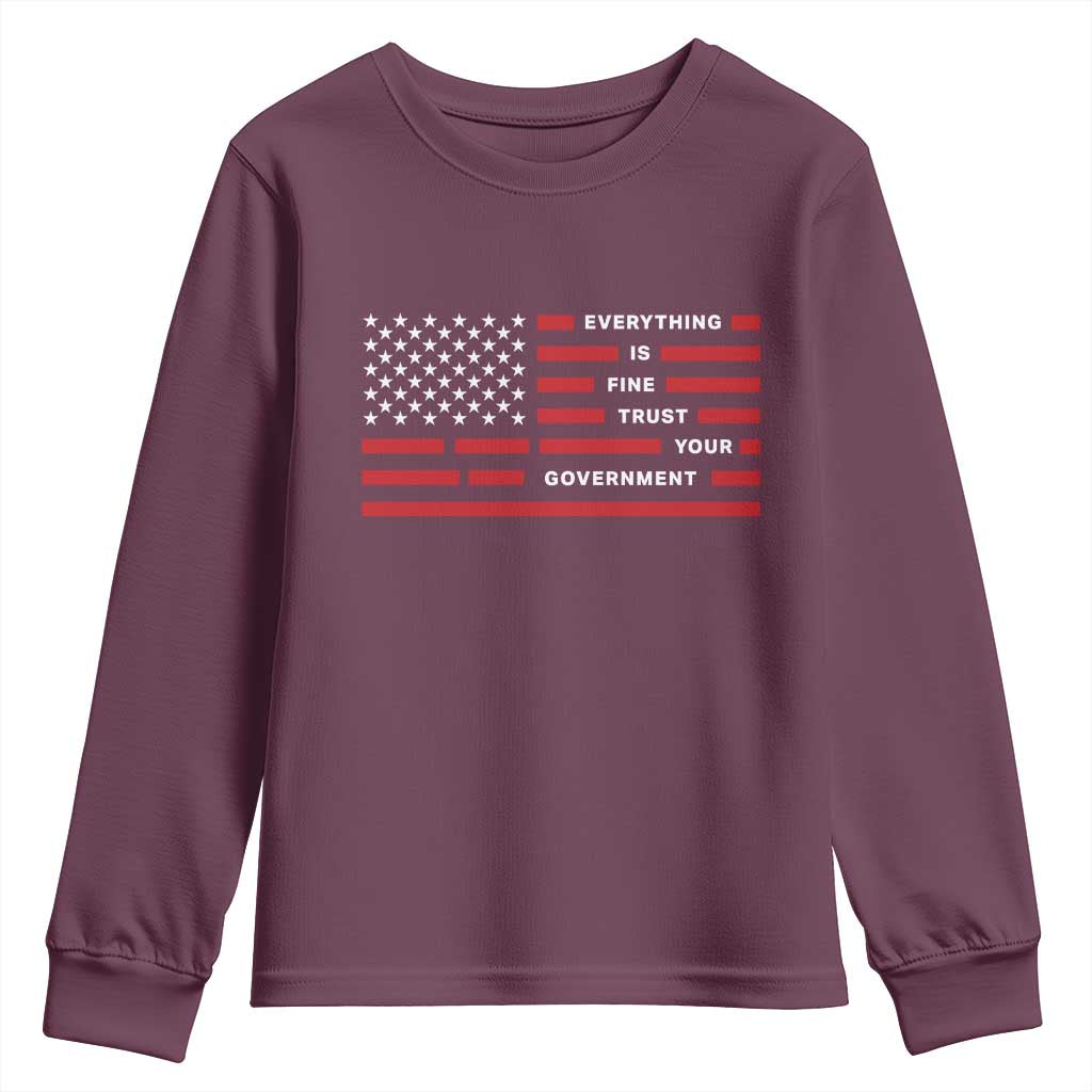 Everything Is Fine Trust Your Government Patriotic Flag Youth Sweatshirt Sarcastic Political Humor