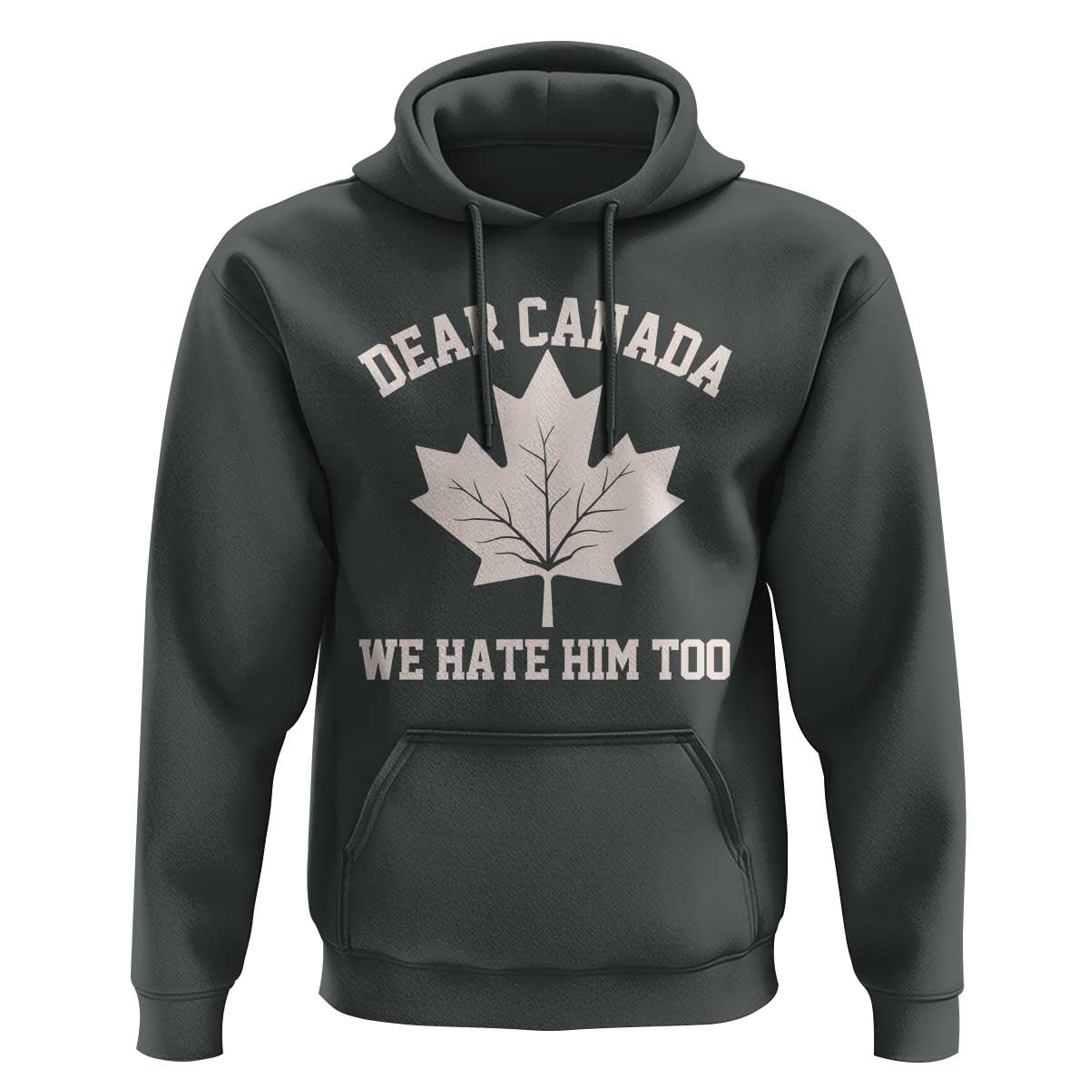 Dear Canada We Hate Him Too Hoodie Political 2025 Protest