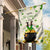 Happy St. Patrick’s Day Garden Flag Lucky Leprechaun with Gold & Rainbow Yard Decor