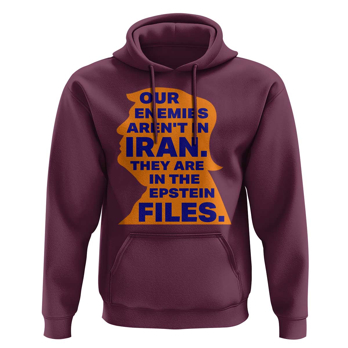 Our Enemies Aren't In Iran Hoodie Epstein Files Silhouette Political Satire
