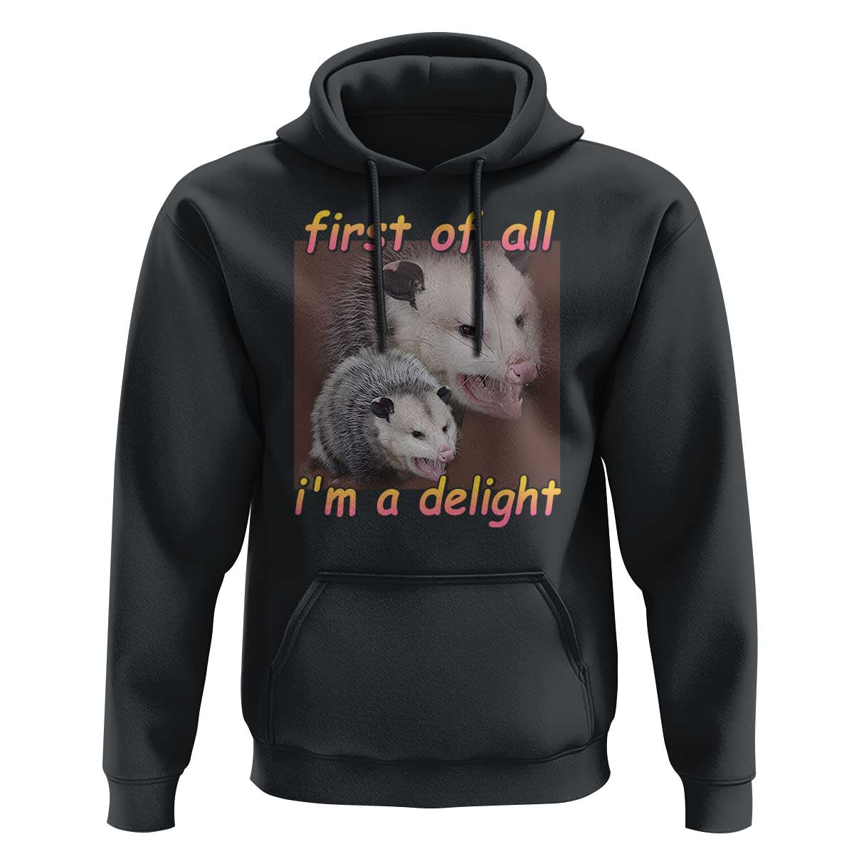 Funny Opossum Hoodie First Of All I'm A Delight - Wonder Print Shop